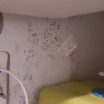 Doğa Sigorta Mutfak Su Akıntısı Sonucu Dolapların Küflenmesi