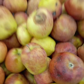 Kayseri Tanzim Meyve Sebze Reyonundaki Elemanları İş Bilmiyor