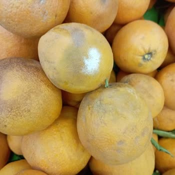 Kayseri Tanzim Meyve Sebze Reyonundaki Elemanları İş Bilmiyor