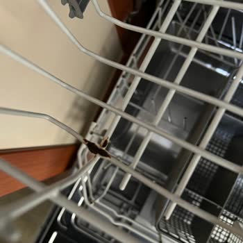 Beko D3 3001 Bulaşık Makinesi Telleri Çürüdü