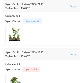 Çiçek Sepeti Arka Arkaya 2 Gün Mağdur Etti. Kötü Hizmet!