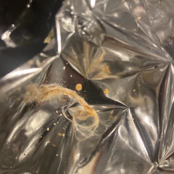 Ülker Biskrem'de Saç Çıktı