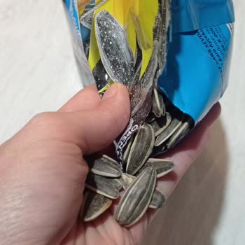 Migros Kara Sevda Çekirdek