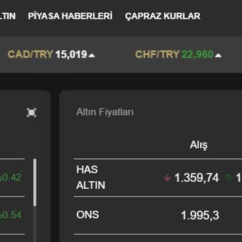ING Altın, Döviz Alım Satımdaki Uçurum?