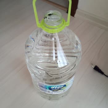 Asya Su Hazır Suyun İçinde Bulunan Sinekler!