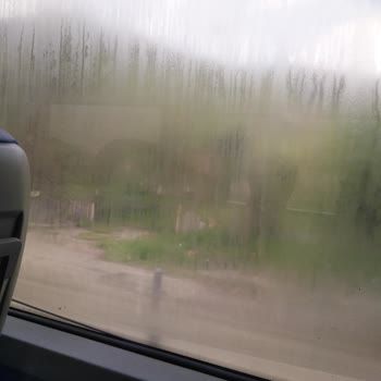 TCDD Karabük Treni Temizlik