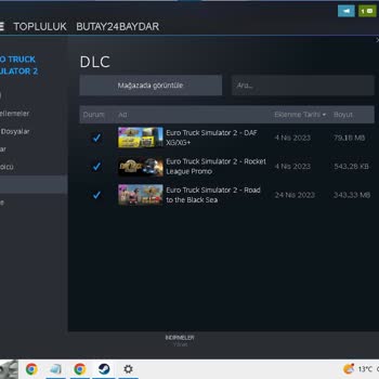 Steam Yetkili Yok, Sorun Çözen Yok, Sorun Yaratanlar Var