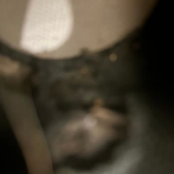 Hışım Grup Taksim Nike Sattığınız Ayakkabı 2 Ayda Yırtıldı