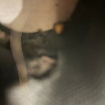 Hışım Grup Taksim Nike Sattığınız Ayakkabı 2 Ayda Yırtıldı