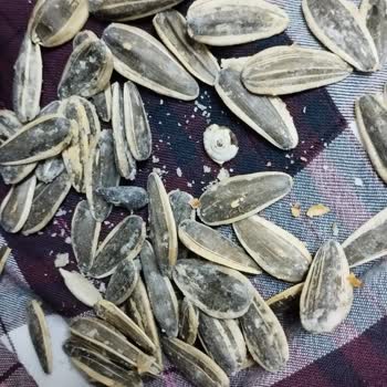 Körfez Market (Gemlik) Gıda Konusunda Şikayetçiyim