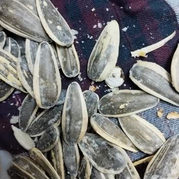 Körfez Market (Gemlik) Gıda Konusunda Şikayetçiyim