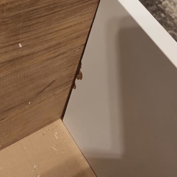 A101 Hasarlı Ve Defolu Ürün