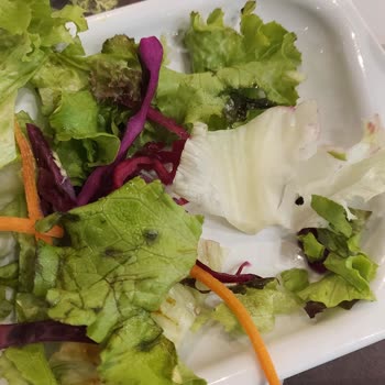 Sayrem Salatadan Çıkan Sinek Ve Yemeğin Güzel Olmayışı