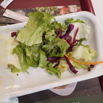 Sayrem Salatadan Çıkan Sinek Ve Yemeğin Güzel Olmayışı