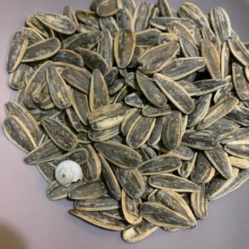 Ada Çakmak Kuruyemiş Kuruyemiş Paketinin İçinden Salyangoz Çıktı