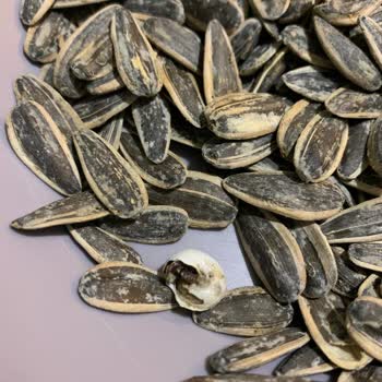 Ada Çakmak Kuruyemiş Kuruyemiş Paketinin İçinden Salyangoz Çıktı