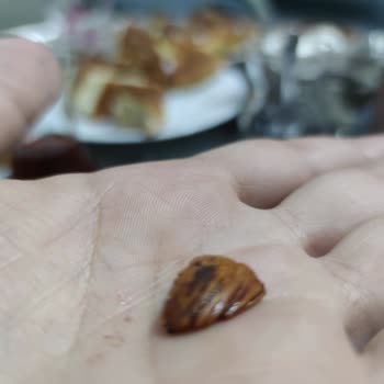 Tuğba Kuruyemiş İçeriğinde Farklı Bir Cisim Çıktı