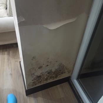 Zeray İnşaat Teslim Alınan Evdeki Problemler Giderilmiyor