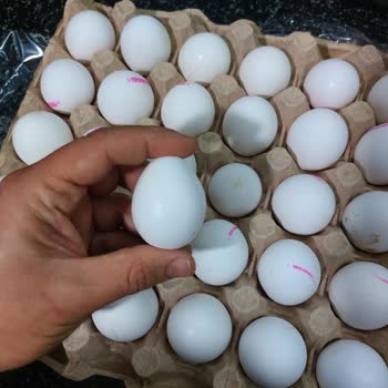 Kibarım Mağazaları Foçayum Marka Yumurtanın İçinden Çürük Ve Bozuk Yumurta Çıkıyor.