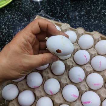 Kibarım Mağazaları Foçayum Marka Yumurtanın İçinden Çürük Ve Bozuk Yumurta Çıkıyor.