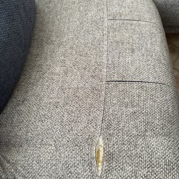 Mondi Pişmanlıktır. Aldığıma Pişmanım