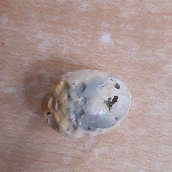 Harras Marka Yumurta İçi Bozuk Çıktı.