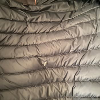 Tommy Hilfiger Kaz Tüyü Mont Tüy Dökme Sorunu