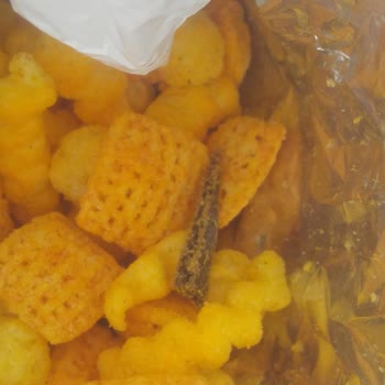 Çerezza Kokteyl İçerisinden Koyu Renkte Bir Cisim Çıktı