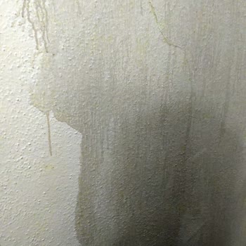 Koçtaş, Sattığı Plastik Boyadaki Kusuru Kabul Etmiyor!