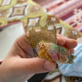 Kent Şekerleri Kent Şekeri Den Böcek Çıkması