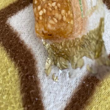 Kent Şekerleri Kent Şekeri Den Böcek Çıkması