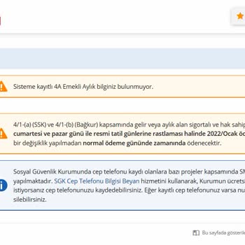 SGK E-Devlet (Turkiye.gov.tr) Emeklilik (Evrak Beklemede Dahi Görünmüyor)