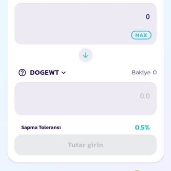 PancakeSwap'ten Dogewt Coin Aldım Ancak Satamıyorum