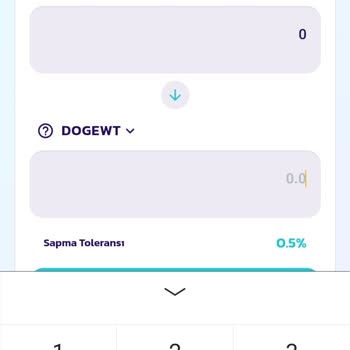 PancakeSwap'ten Dogewt Coin Aldım Ancak Satamıyorum