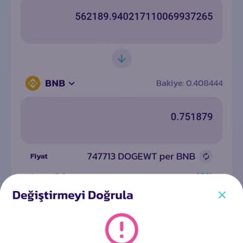 PancakeSwap'ten Dogewt Coin Aldım Ancak Satamıyorum