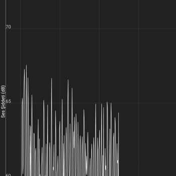 Gürültülü Bulaşık Makinesi. Bosch Sms44dw01t/10 Serie4 Marka "silence"