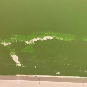 Taraklı Termal Müşteriyi Hafife Alan, Hakkını Vermeyen Devremülk İşletmesi