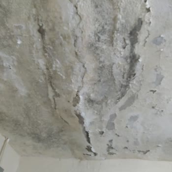 Çevre, Şehircilik Ve İklim Değişikliği Bakanlığı Yanlış Hasar Tespiti