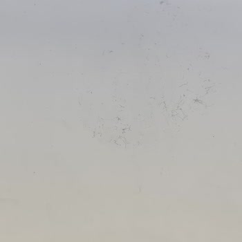 Sunexpress Hava Yolları Tam Bir Fiyasko Temizlik Hak Getire