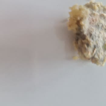 Duru Bulgur Küf Tortusu Çıktı