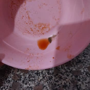 Kazova Gıda Marka Salçanın İçerisinden Kum Çıktı