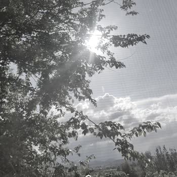 Xiaomi Poco X3 Pro Kamera Çalışmıyor