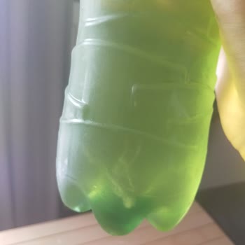 Yeşil Çaylı Lipton Ice Tea'nin İçinden Çıkan Garip Şeyler!