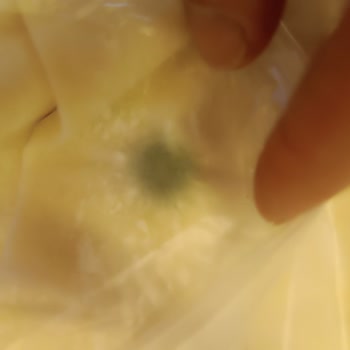 A101 Nimet Baklavalık Yufka