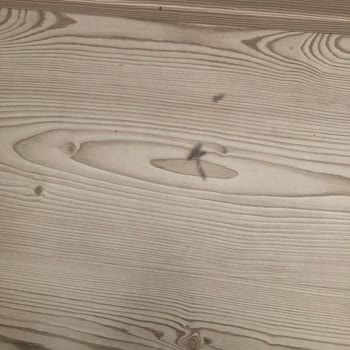 Tefal Media Markt Robot Süpürge Problemi