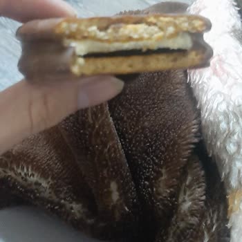 Ülker Garip Ve Eksik Krema