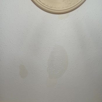 TOKİ Çatı Akıntısı Site Yönetiminin İlgisizliği