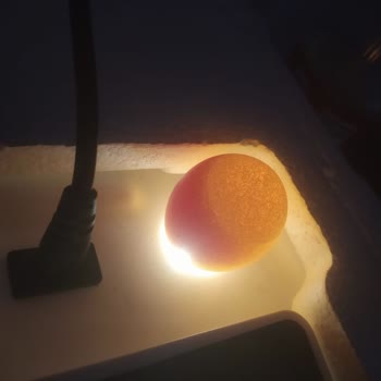 Beren Kuluçka Tam Otomatik Kuluçka Makinesi İle İlgili Yaşadığım Sorunlar