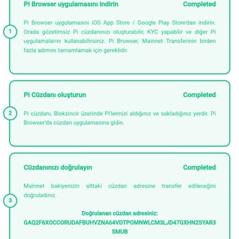 Pi Network'teki Pi'ler Kayıp