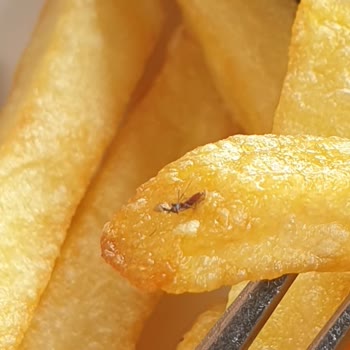 Antik Köftede Yemekten Böcek Çıktı. İskele Olan Taraf